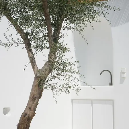 Alio Naxos Luxury Suites Agios Georgios  Exterior photo