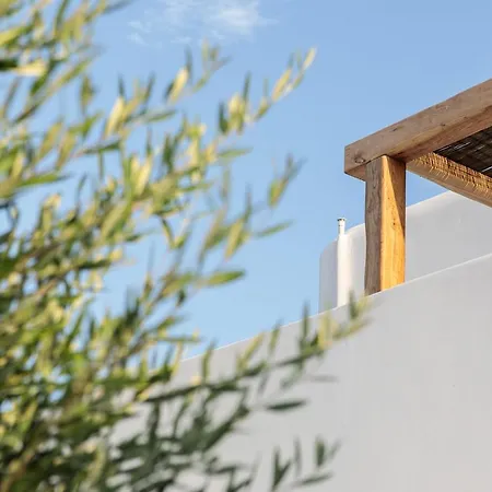 Alio Naxos Luxury Suites Agios Georgios  Exterior photo