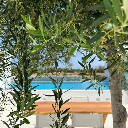 Alio Naxos Luxury Suites Agios Georgios  Exterior photo