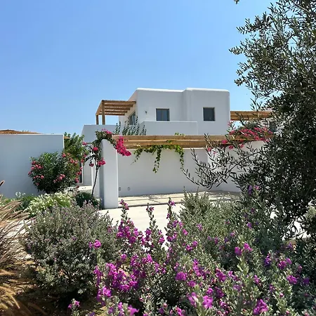 Alio Naxos Luxury Suites Agios Georgios  Exterior photo