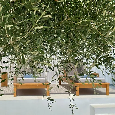 Alio Naxos Luxury Suites Agios Georgios  Exterior photo