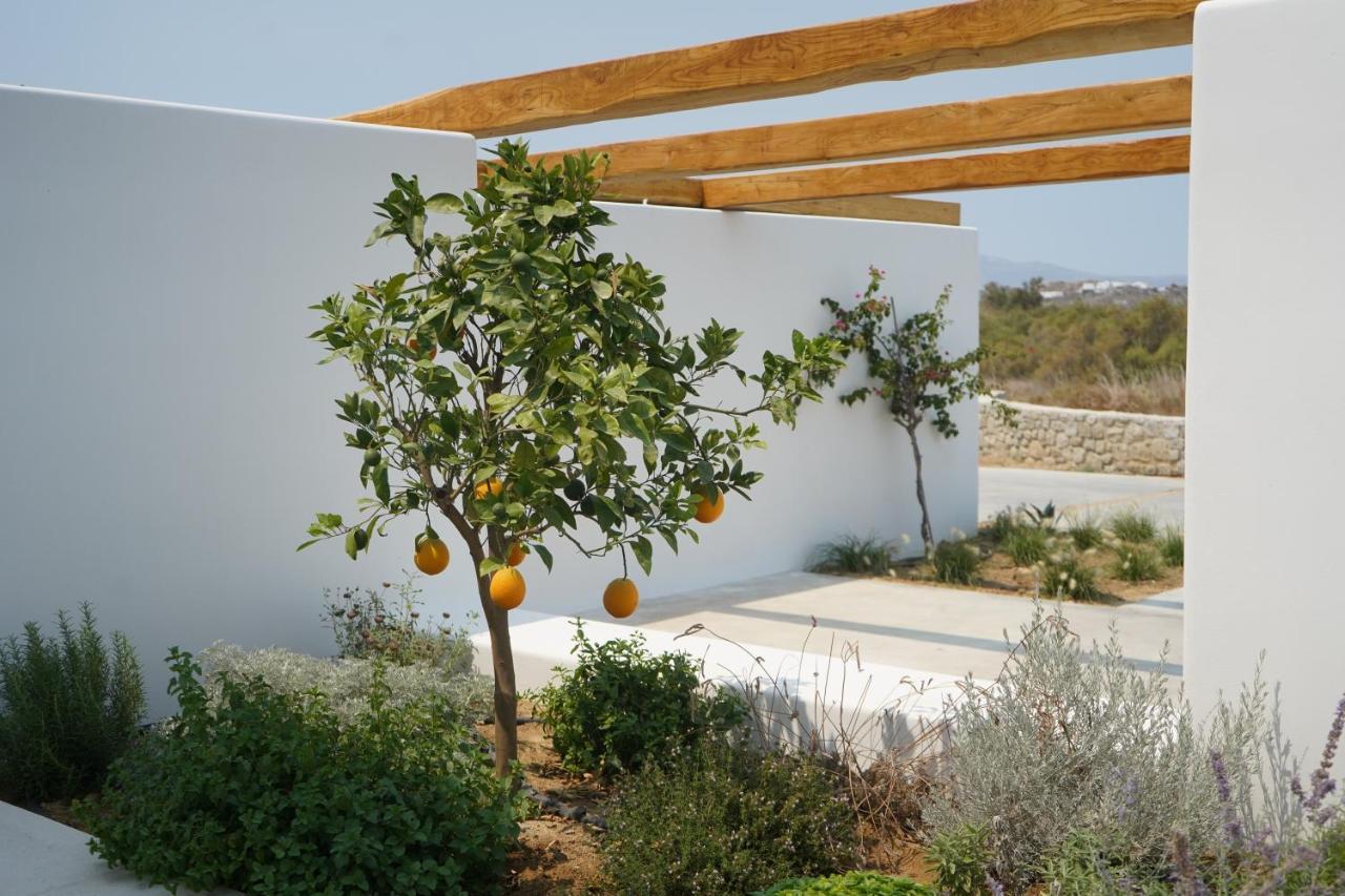 Apartment Alio Naxos Luxury *