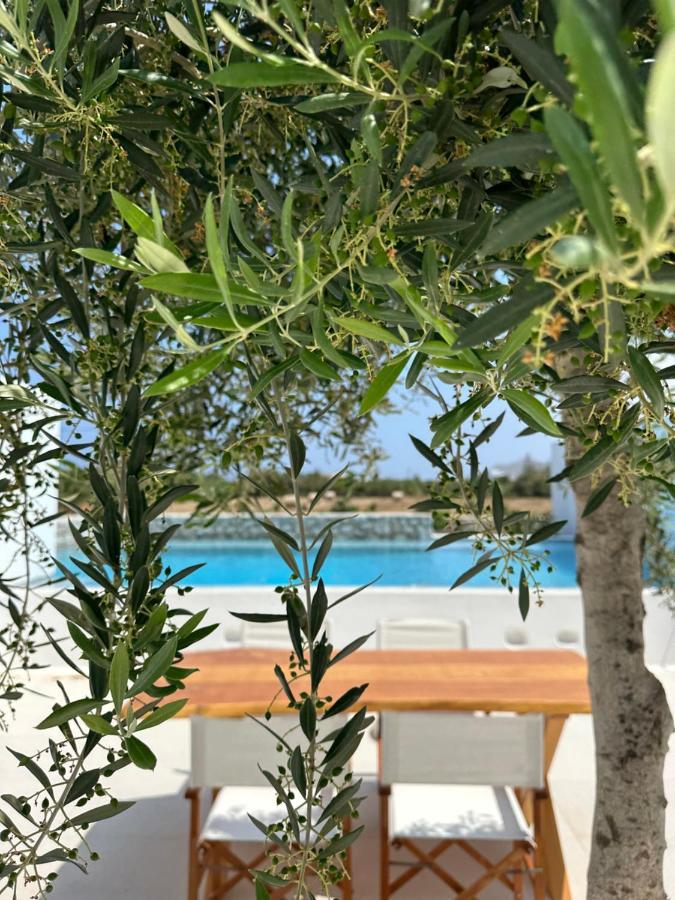 Apartment Alio Naxos Luxury Agios Georgios (Naxos)
