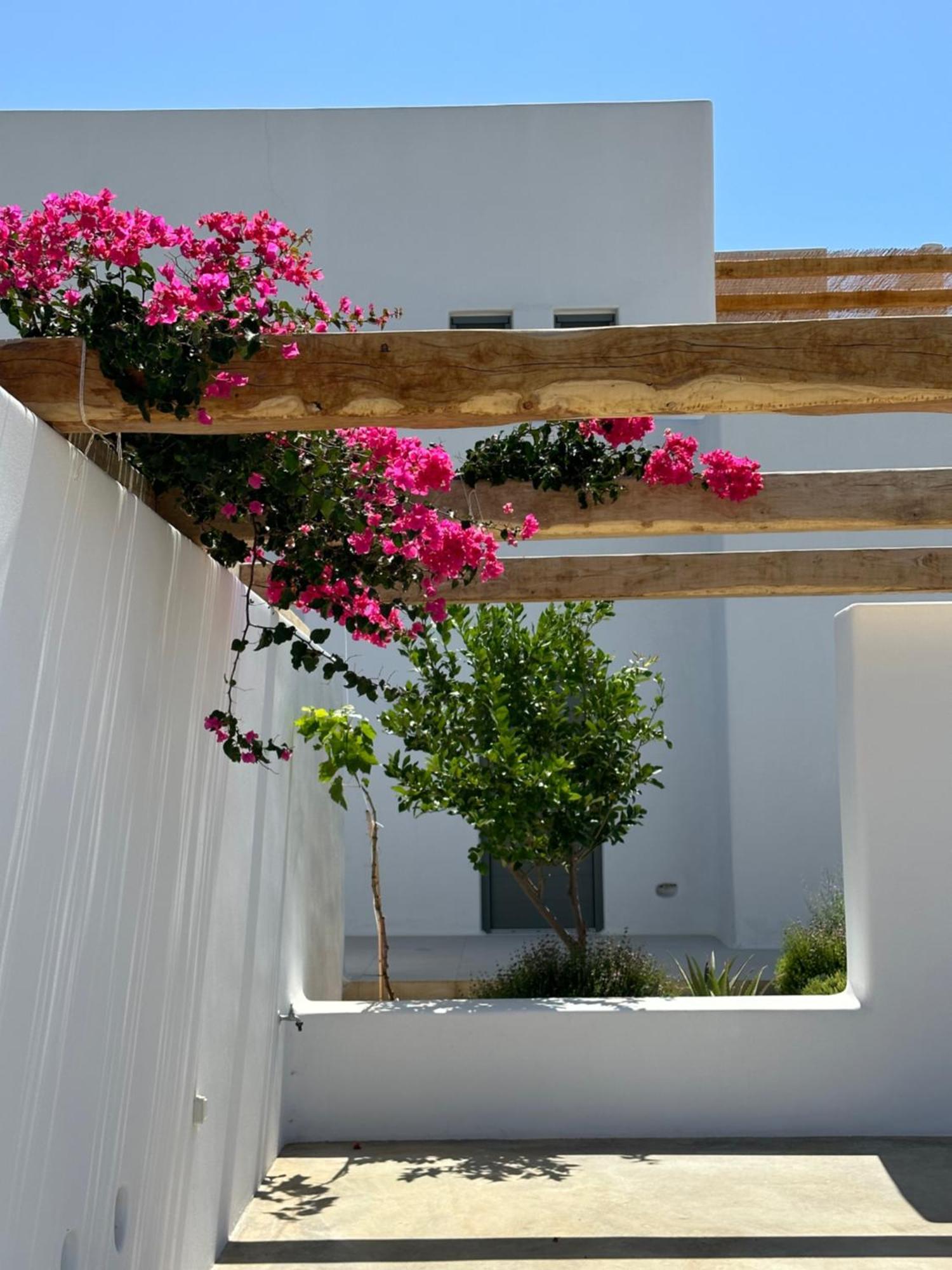 Apartment Alio Naxos Luxury *