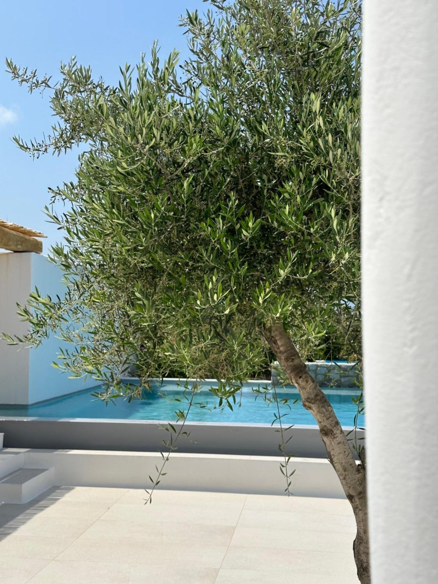 Apartment Alio Naxos Luxury *