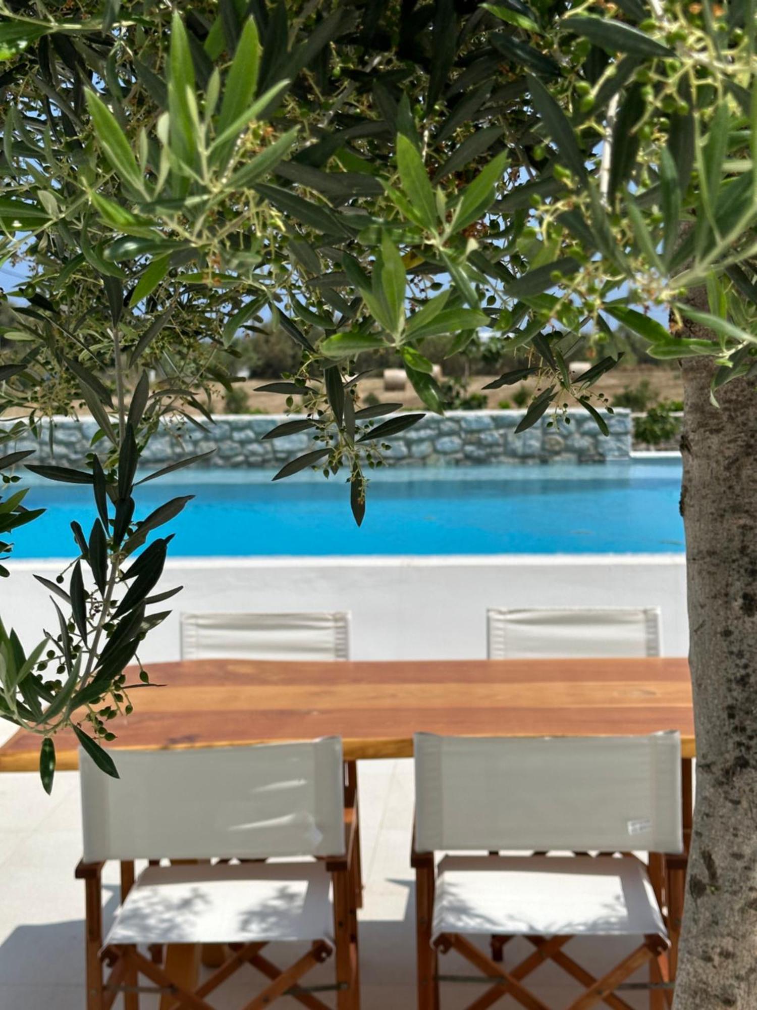 Apartment Alio Naxos Luxury Agios Georgios (Naxos)